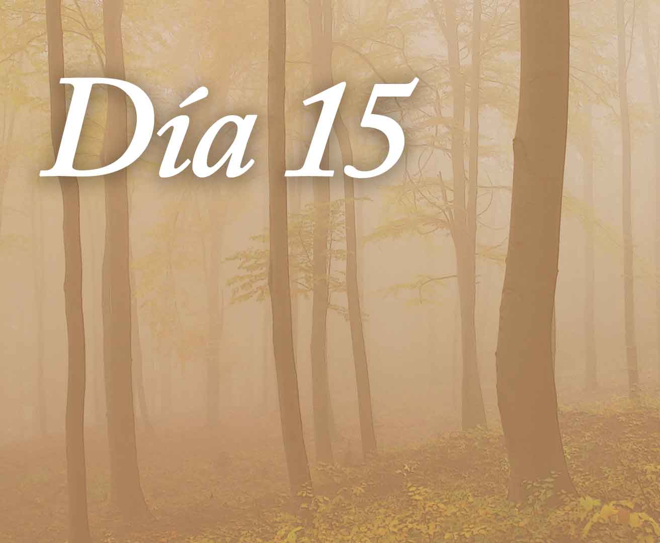 Día 15: En este silencio 