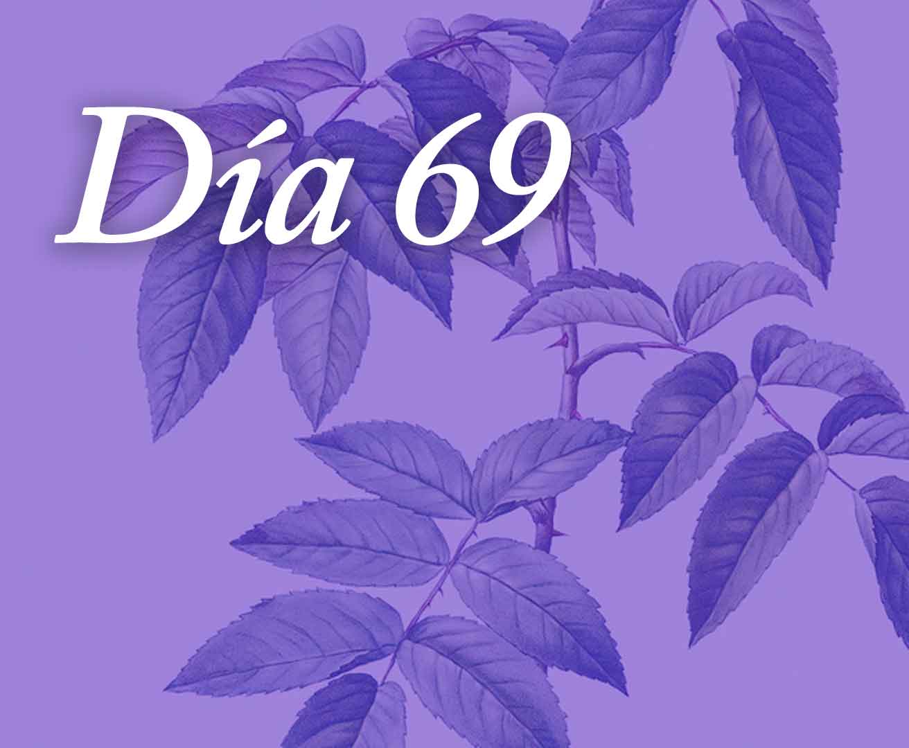 Día 69 - Somos comunidad