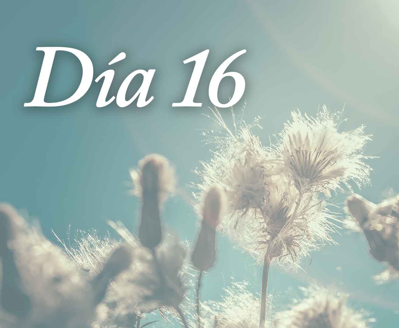 Día 16: Si, por supuesto que duele