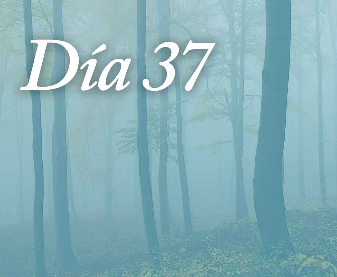 Día 37: Apreciando lo que no se ve