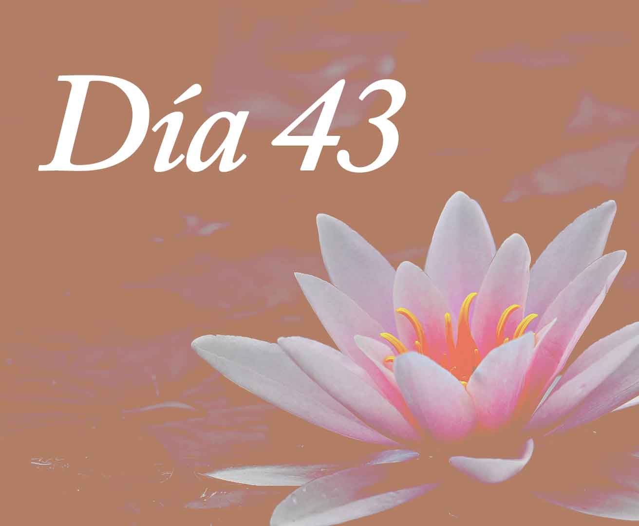 Día 43: La sabiduria de la inseguridad
