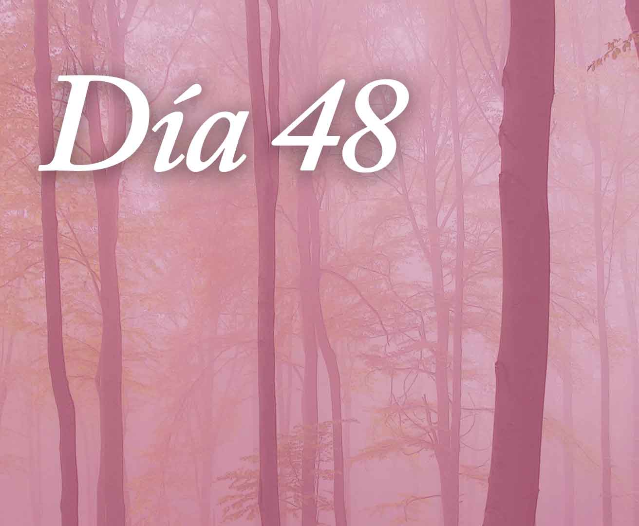 Día 48 - Que no me olvide