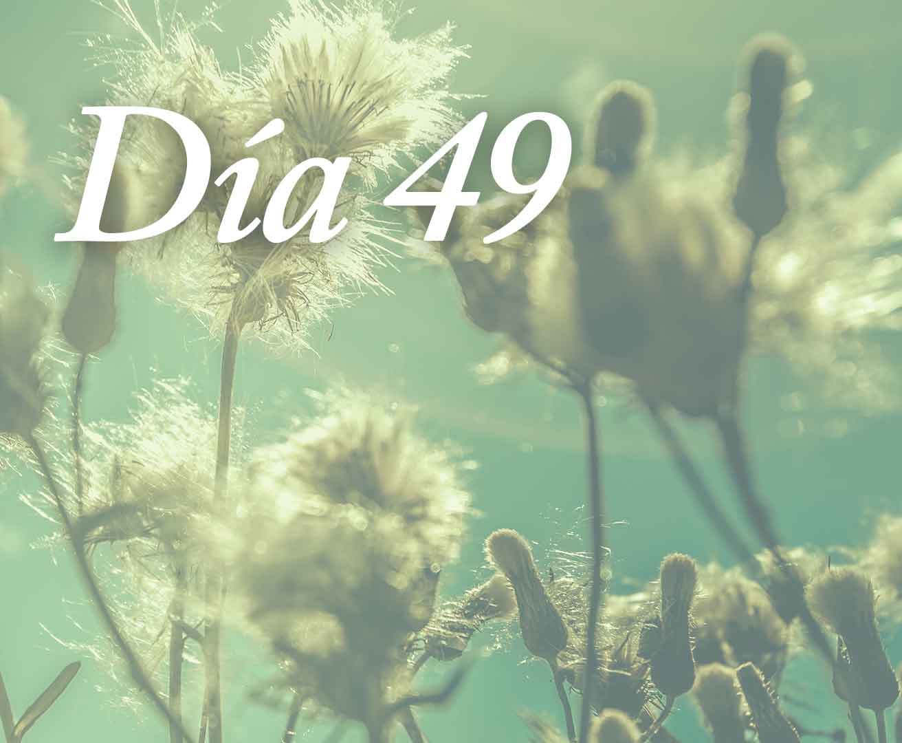 Día 49 - Lo sagrado