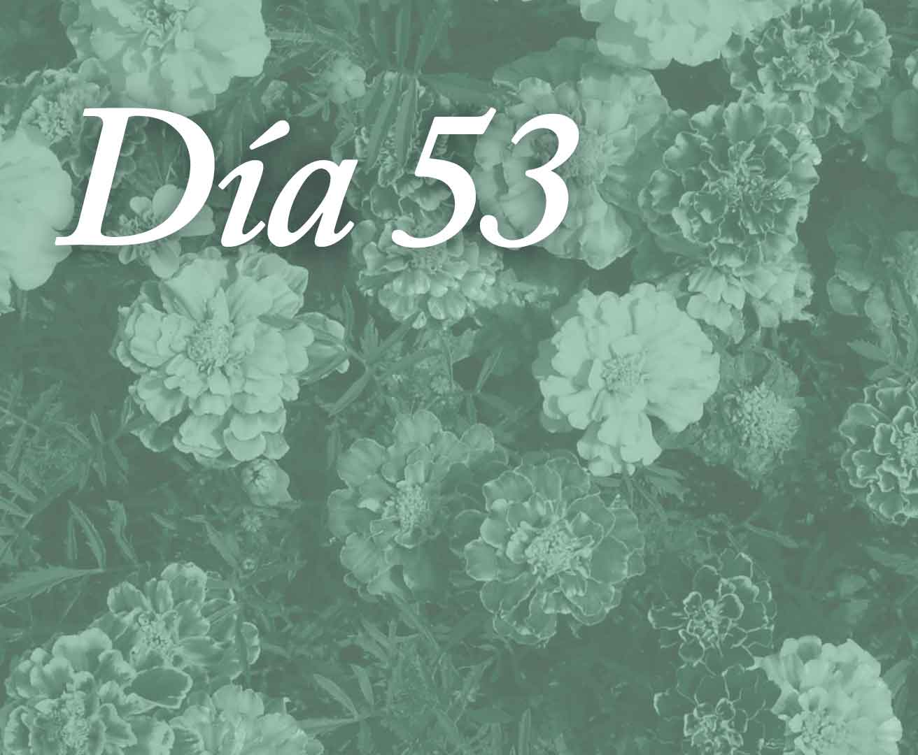 Día 53 - Cae tú en tu corazón