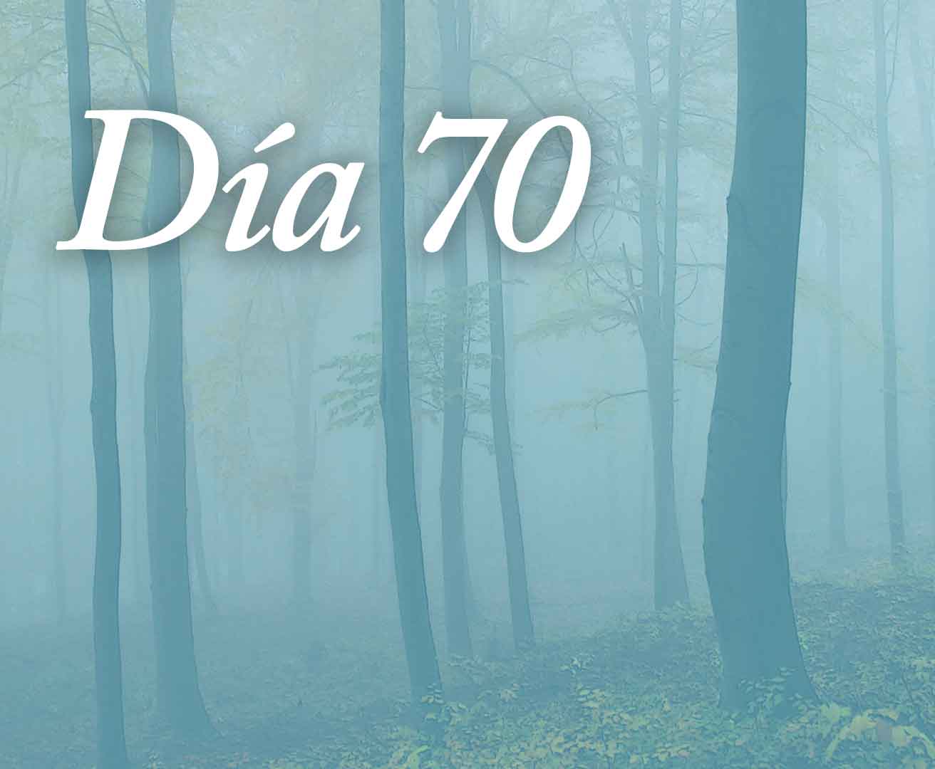 Día 70 - Apreciar y agradecer
